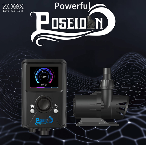 Zoox