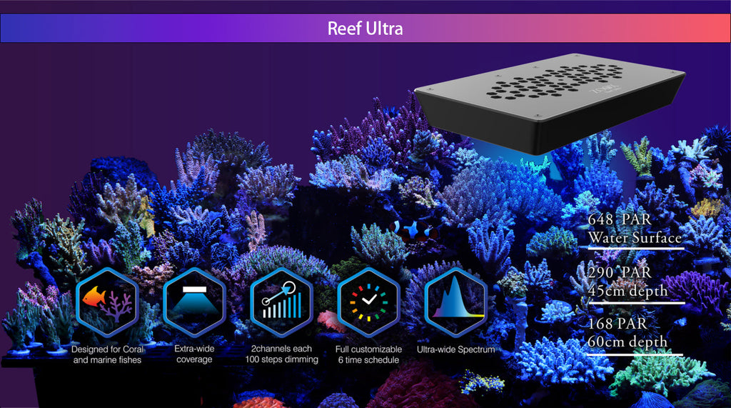 Reef Ultra