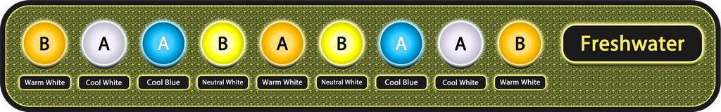 Edge 35
