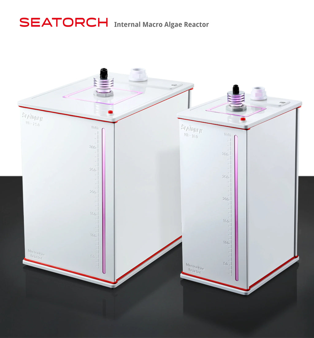 Macroalgae Reactor Internal