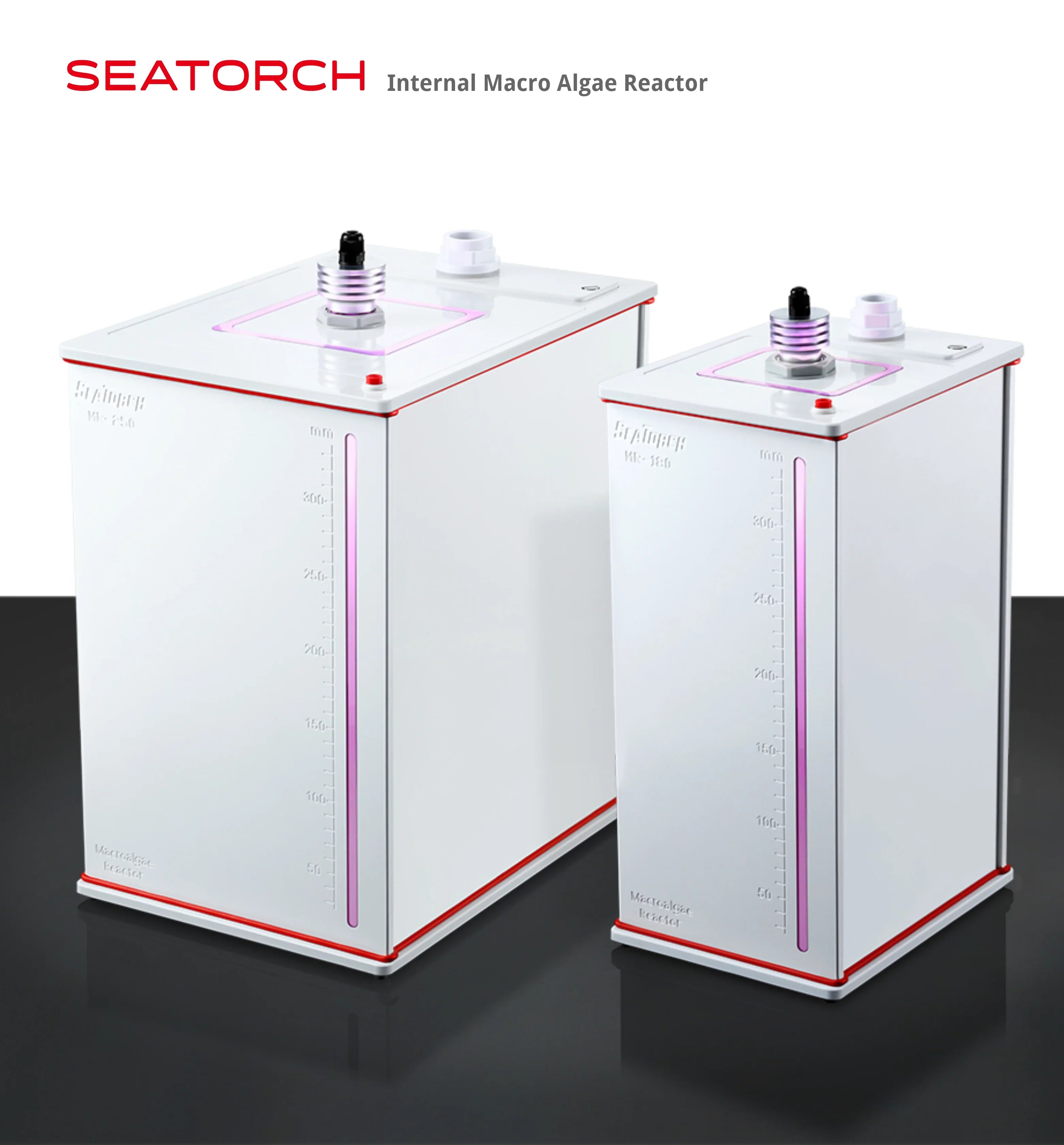 Macroalgae Reactor Internal