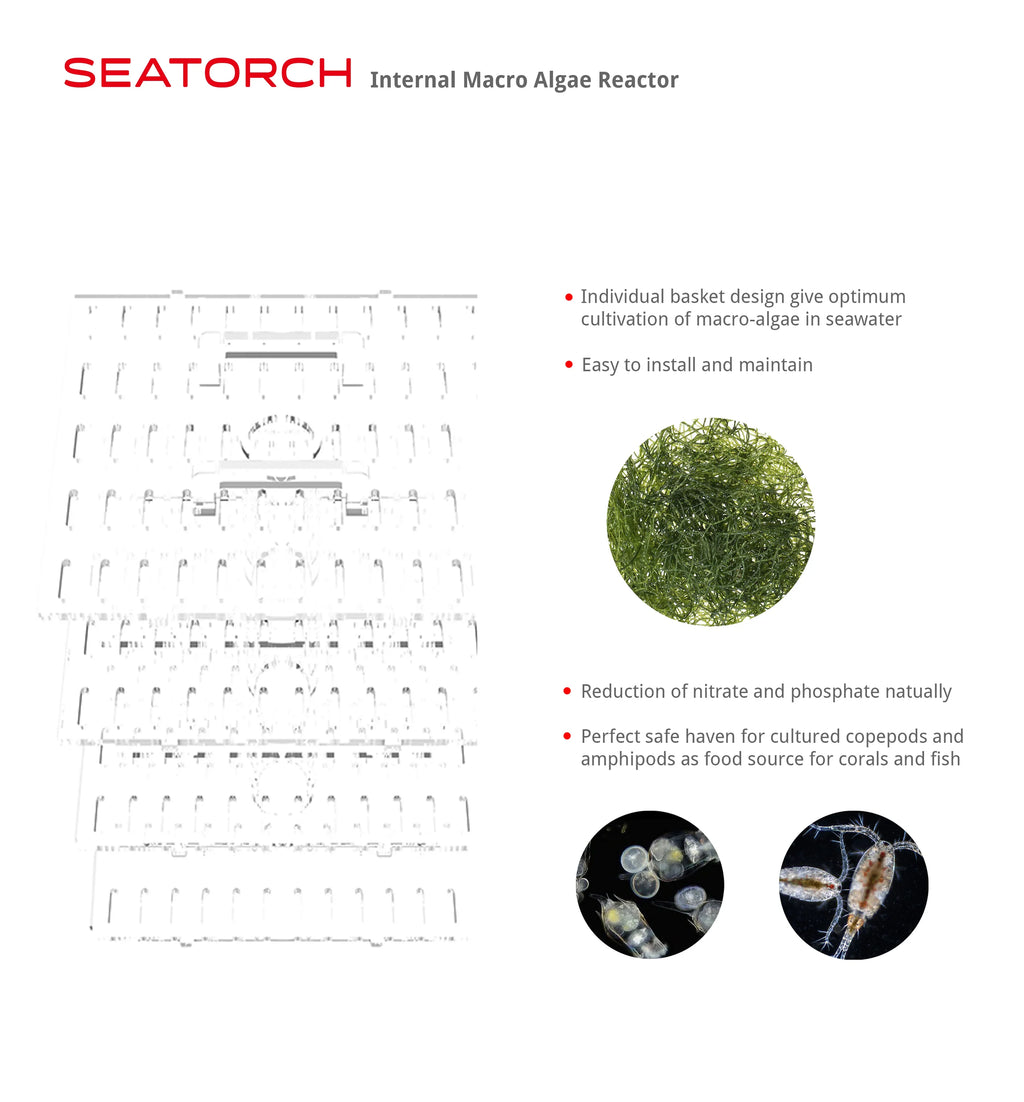 Macroalgae Reactor Internal