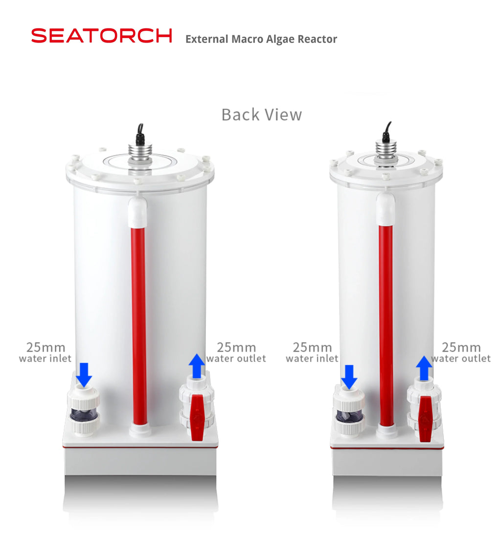 Macroalgae Reactor External