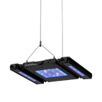 Meridian 11 Edge Bar Bundle