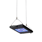 Meridian 11