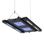 Meridian 24 Edge Bar Bundle
