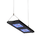Meridian Hanging Wires