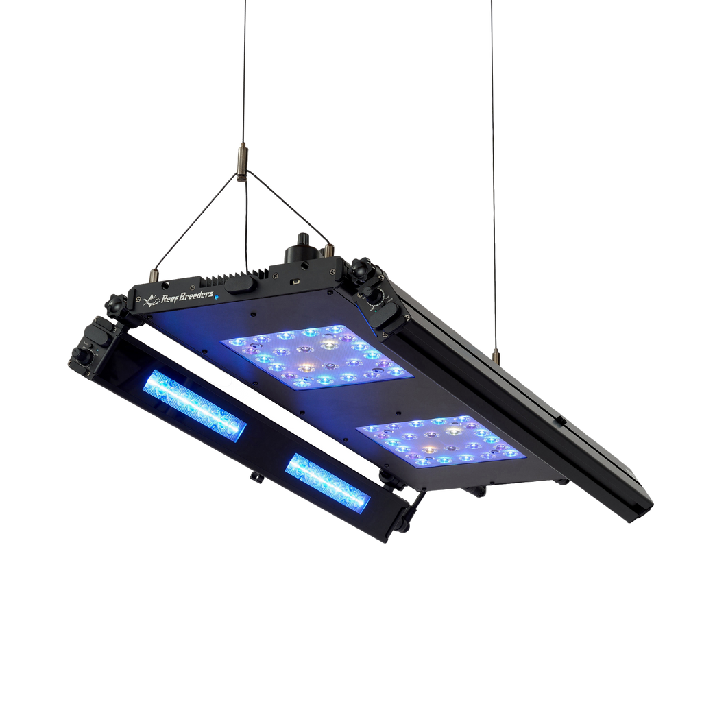Meridian 24 Edge Bar Bundle