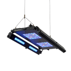 Edge Articulating Mounts