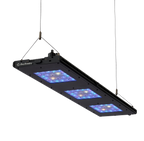 Meridian 35