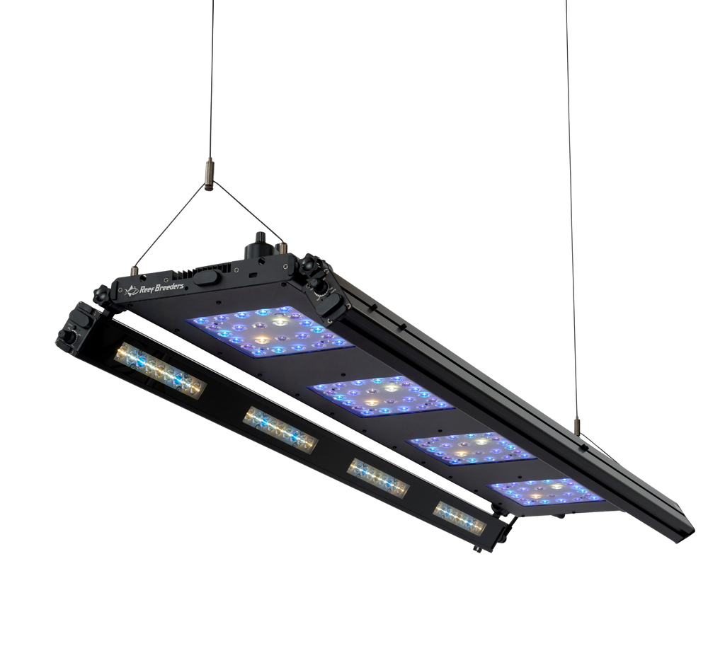 Edge 45