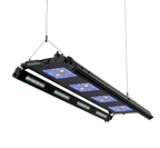 Edge 45