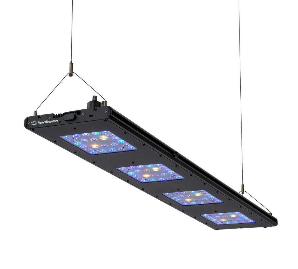 Meridian 45