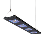 Meridian 45