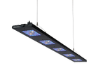 Meridian 63