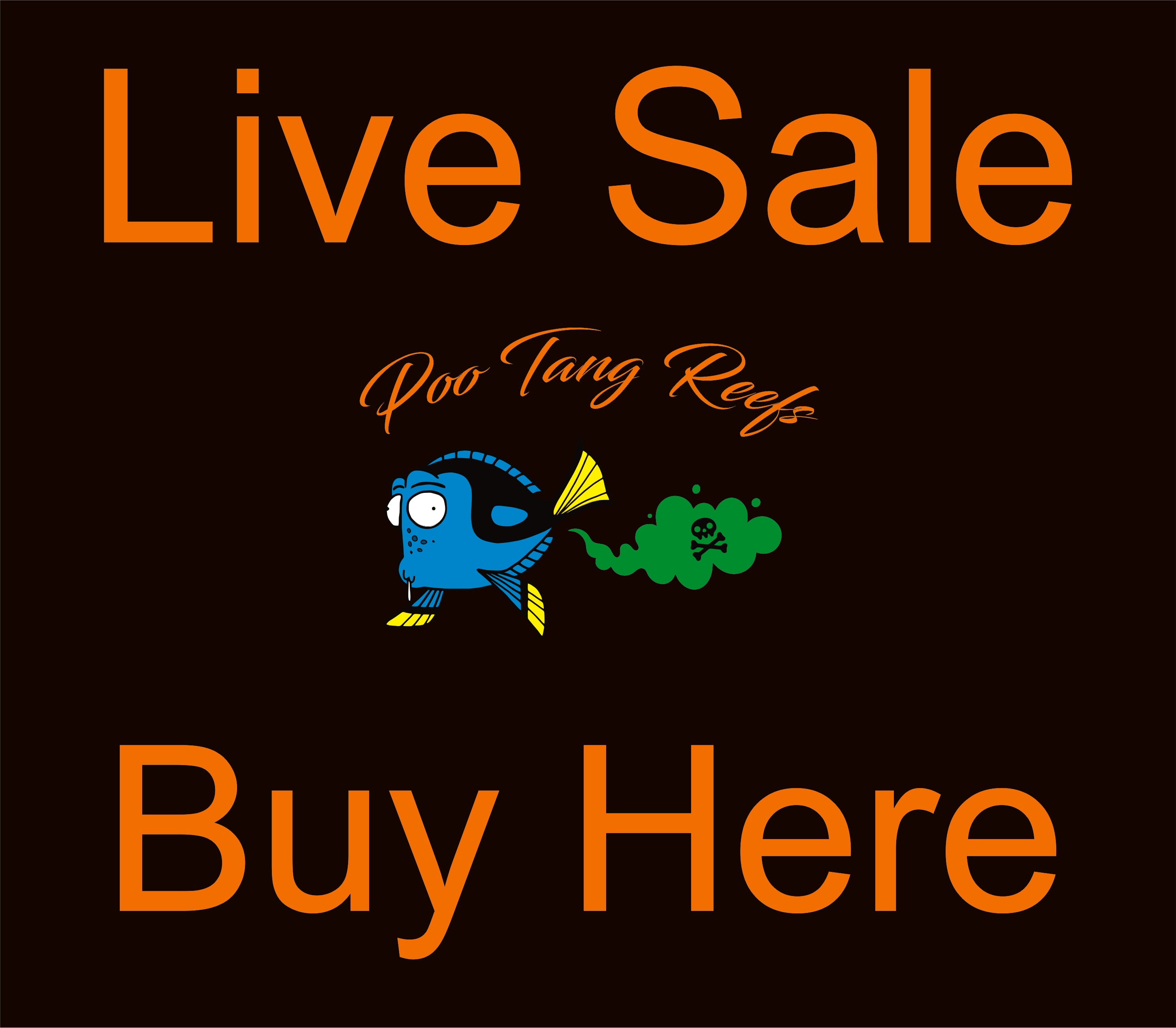 Live Sale
